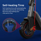 NIU KQi3 Max Electric Kick Scooter for Adults